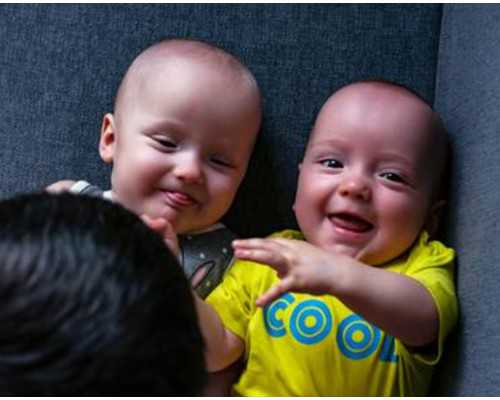 
              囊胚是不是已经决定生男生女了？
