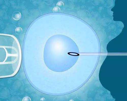 包成功福州代生,提高女性怀孕几率的方法有哪些
						