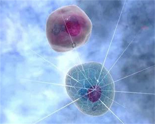 西安供卵试管生一对龙凤胎需要多少钱？附三代试管助孕医院名单！