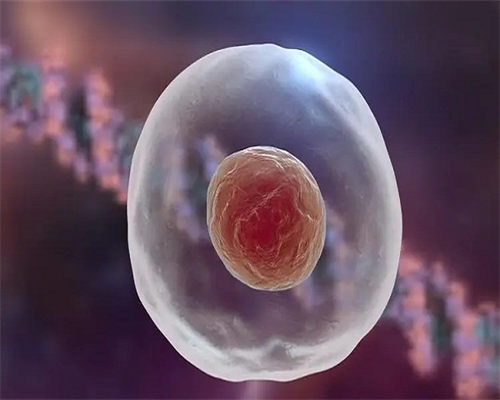 保宁和贝亲各产品对比，其中一方竟节节败退