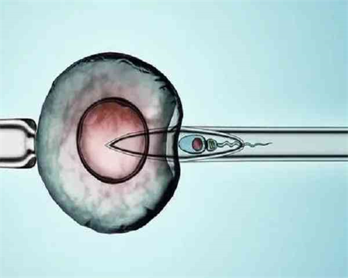 国内借卵试管有吗_代孕有限公司包成功,移植后最晚有15天着床的吗？胚胎移植