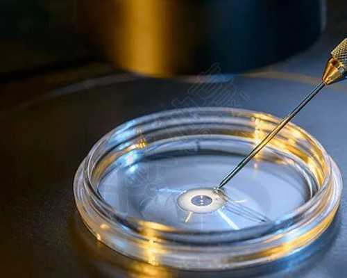 包生男孩费用低_代生包生女儿,*化是什么意思到底怀没怀孕