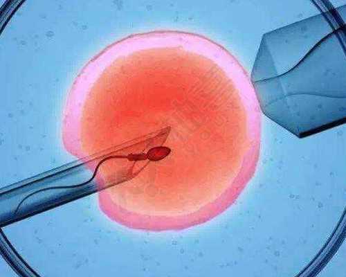 促排8天，喜提夜针