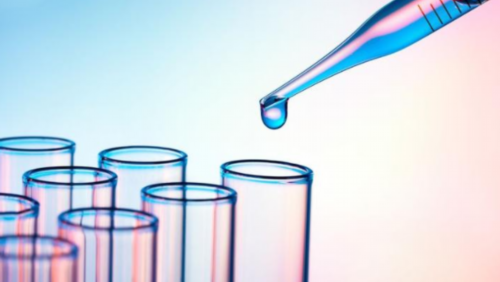 3天的优质鲜胚移植11天没着床胚胎还在体内吗？