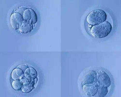 2026年西安试管会纳入医保吗多少钱啊