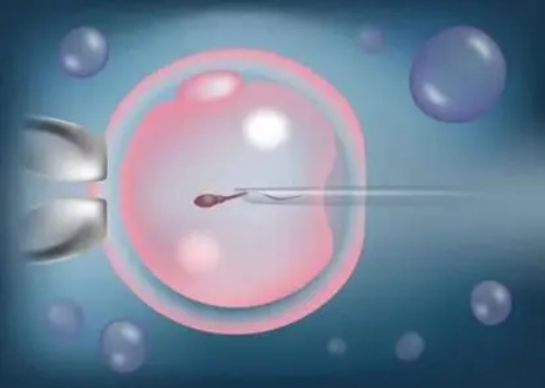 代生试管+试管代孕哪最好,试管婴儿成功率数值是多少？怎样提高？