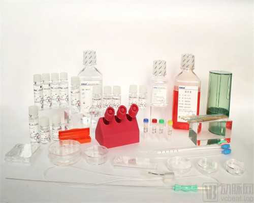 最靠谱代孕中心_借卵试管代孕成功率高吗,健康科普——子宫内膜增生的发病率